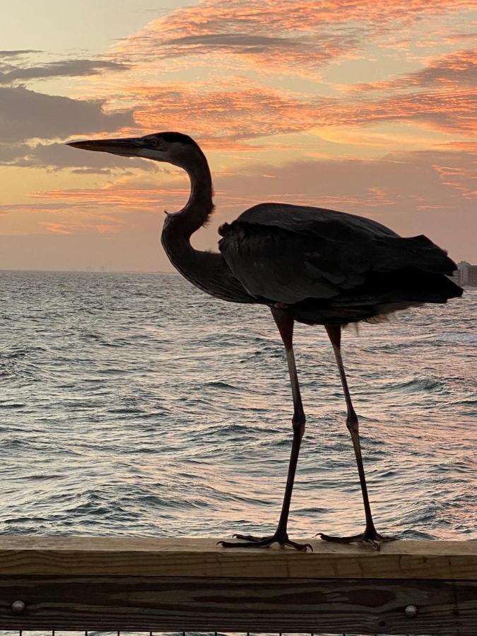 Beautiful! Sunset Harbor Condo For 2-Top Floor 1-309, Navarre Beach Bagian luar foto